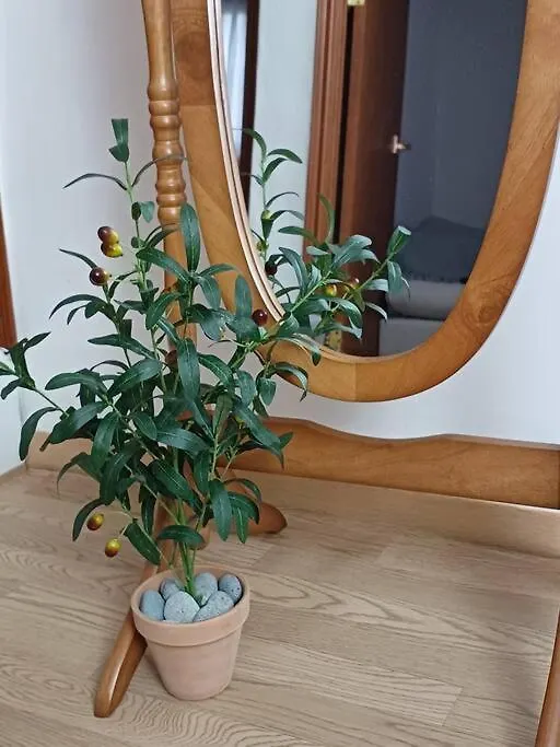 סיאול June Stay דירה
